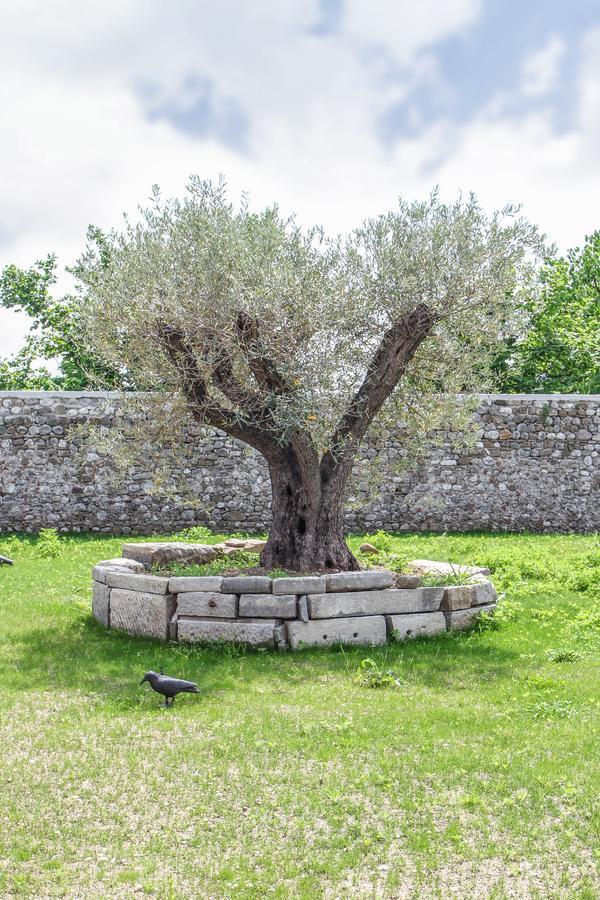 Al Sa Di Te Bed & Breakfast Udine Dış mekan fotoğraf